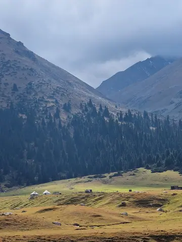Yurt camp on pasture of Turgen Ak-Suu gorge, with forest of fir-tree Tienshansky