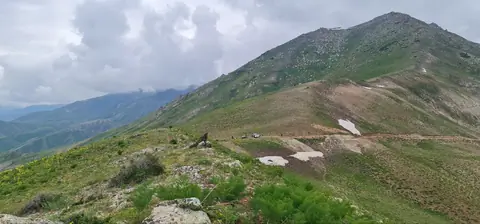 Mountains and green pasture or Chatkal mountains