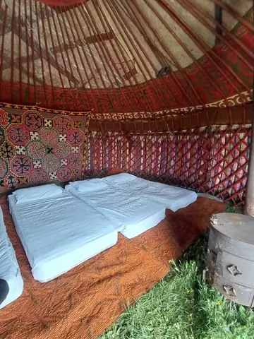Yurt camp Flex