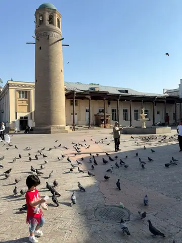 The place of the Sheikh Muslihiddin Mausoleum complex with the minaret of the Jami mosque
