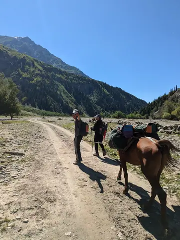 Hiking with local shepherd and horses