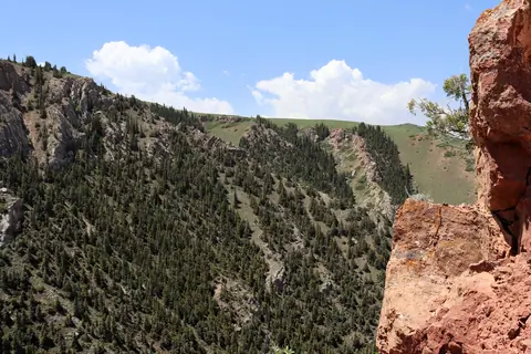 Tarek canyon 