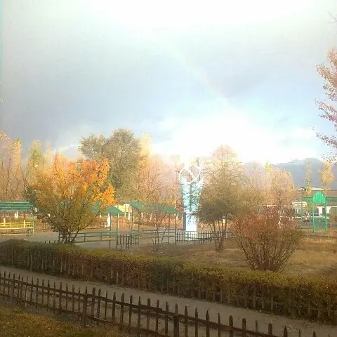 Осень за окном