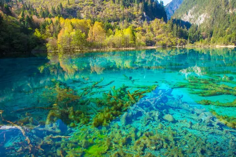 Five Flower Lake, Jiuzhaigou Valley