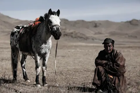 Herder animal husbandry, Bayankhongor aimag