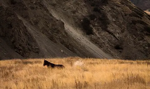Naryn reserve
