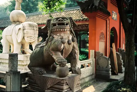 Wen Shu Yuan Fu Dog, Chengdu