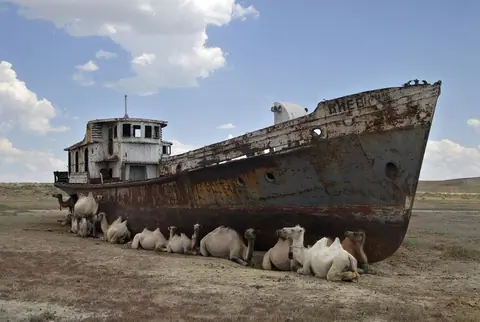 Aral sea shipwreck camels