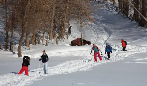 Backcountry in Arslanbob