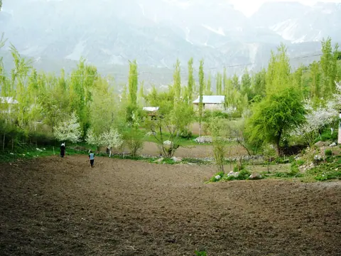 Agriculture in Arslanbob village