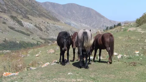 Issyk-Ata
