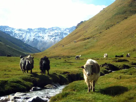 Chatyr-Kul Hike