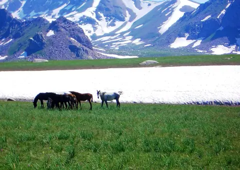Kyrk Kyz - Koebiuk pastures of Kyzyl Oy