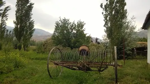 Kyzyl Oy