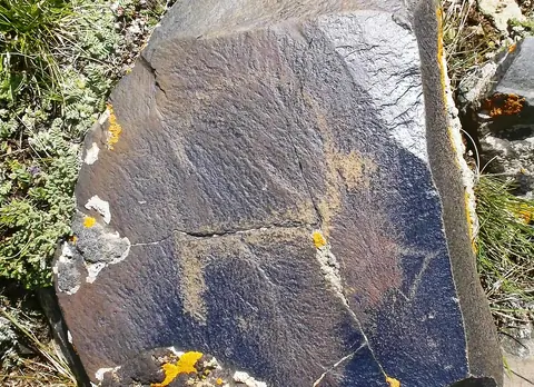 Petroglyph ibex