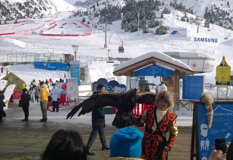 Falconer at Shimbulak