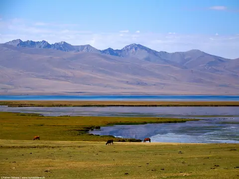 Son Kul Biosphere reserve lagoon