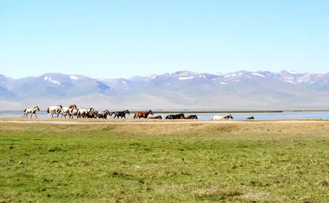 Song Kul's lake and range