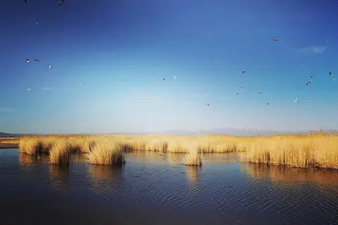 Uvs Lake