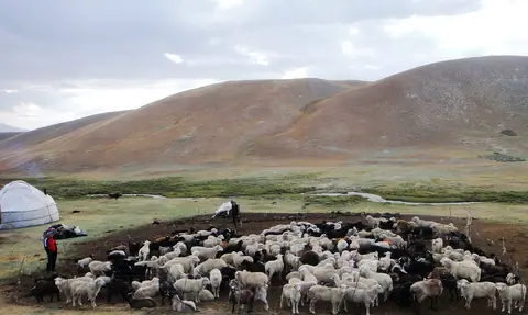 Yurt camp at Arpa valley