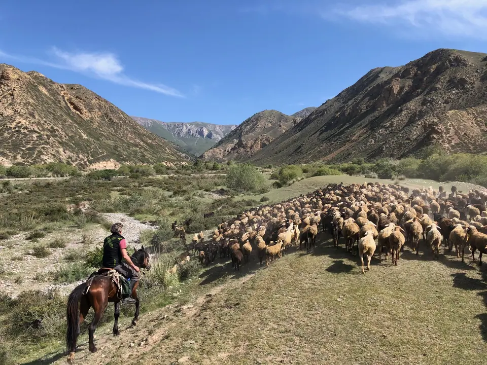 Naryn natural reserve South part