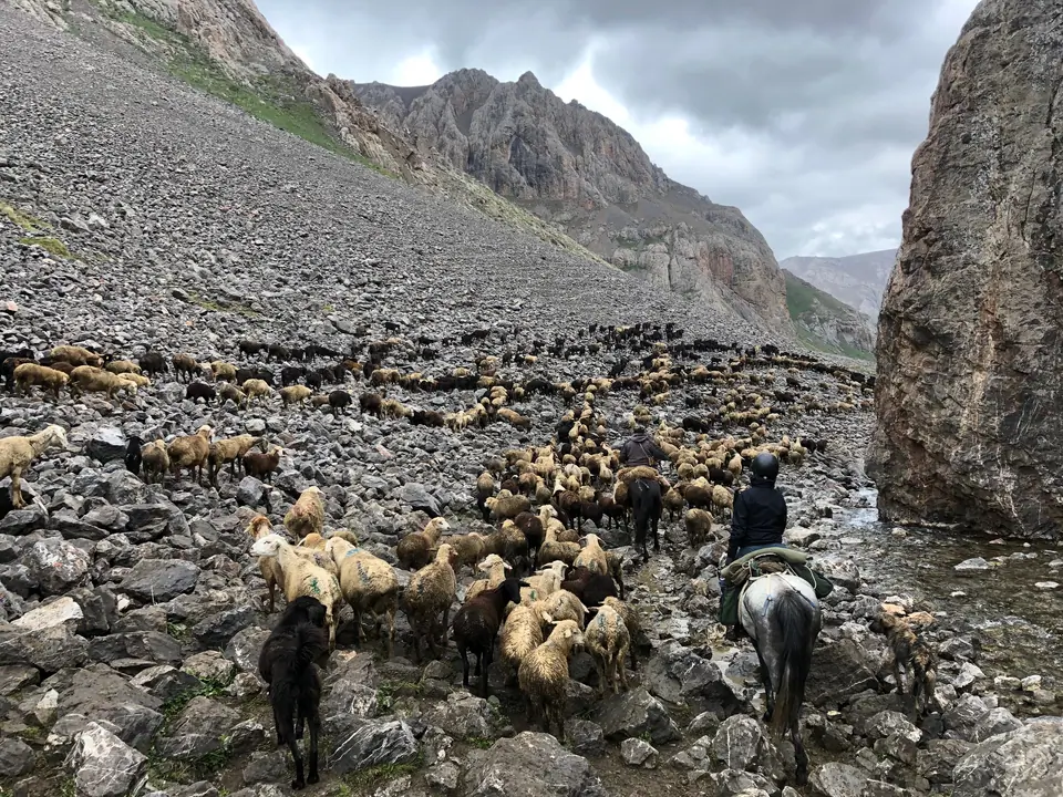 Natural reserve of South region of Song Kul's lake