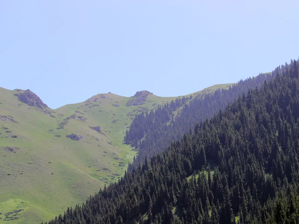 Naryn Chaar valley