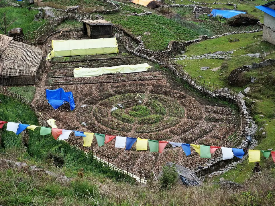 community permaculture garden
