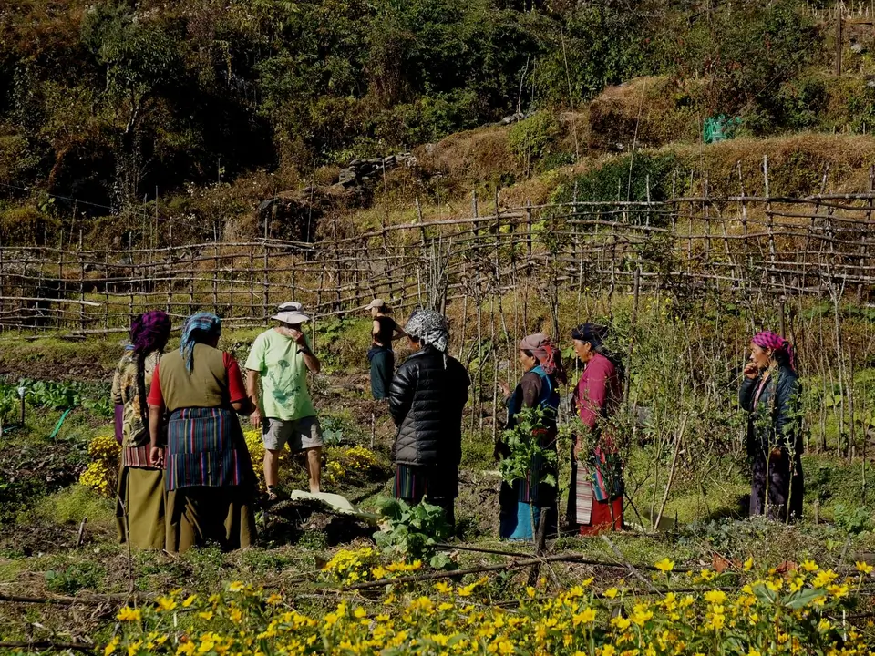 community permaculture garden