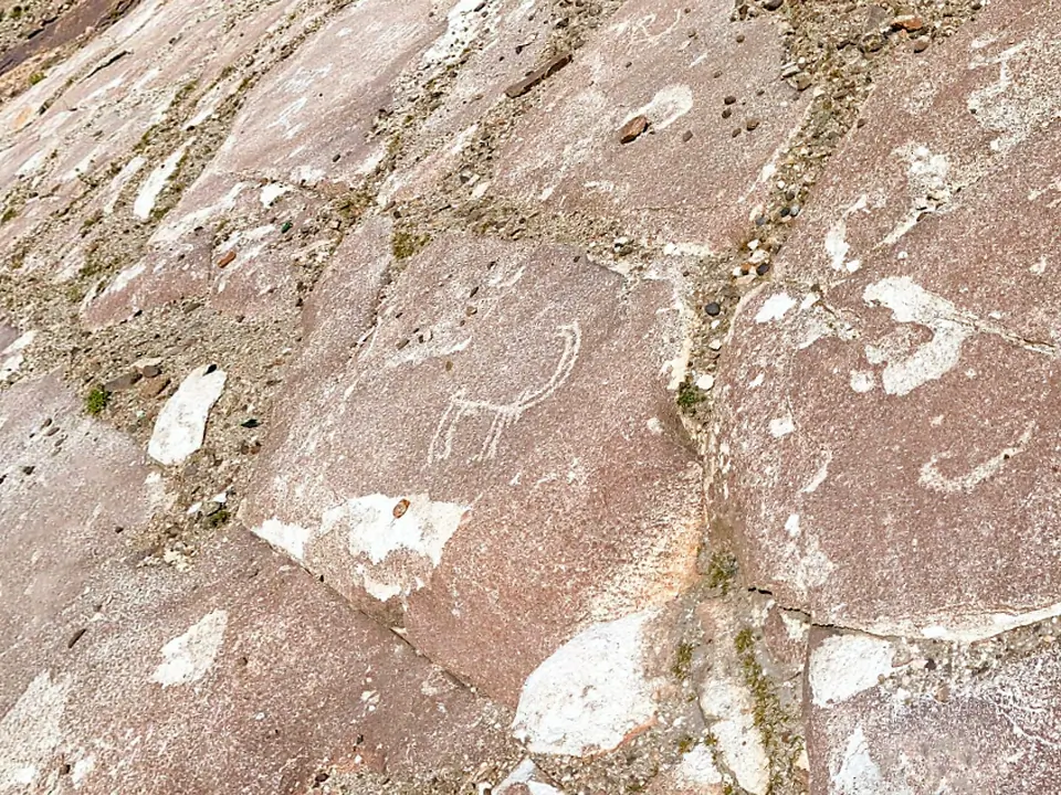 Ibex or wild mountain goat drawn on granit