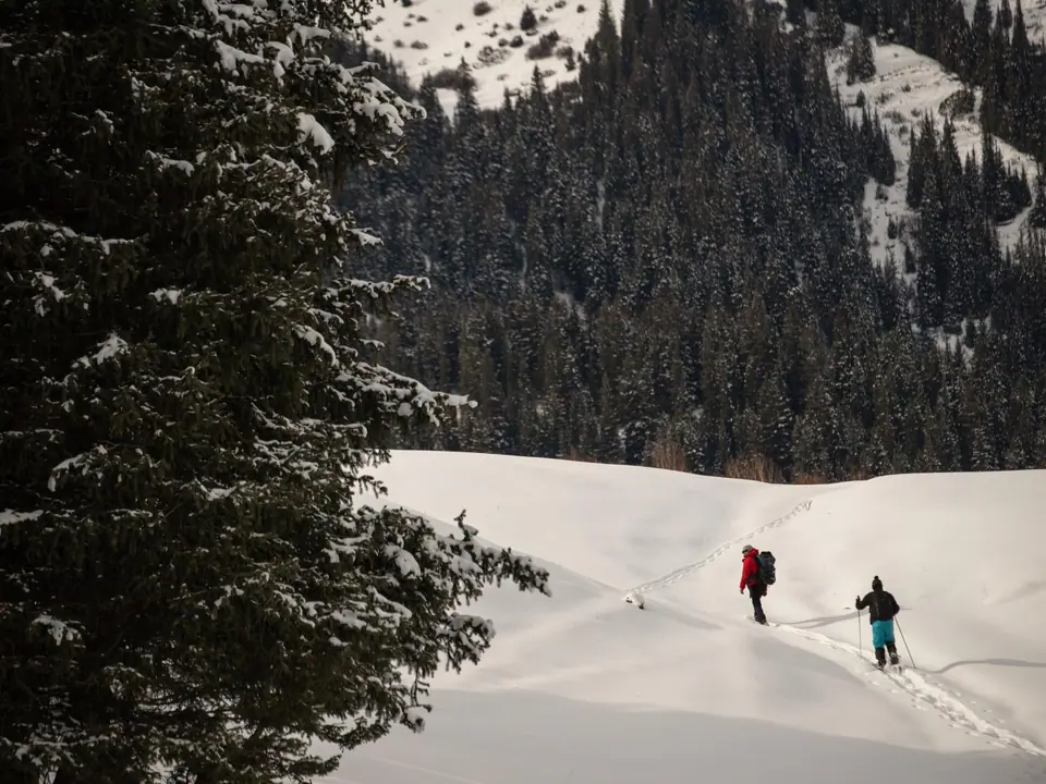 Snowshoeing adventure