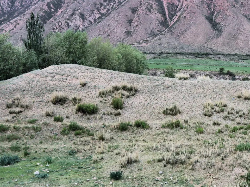 Ruins of an ancient caravanserai and fortress in the gorge of Barskoon, Issyk Kul, Kyrgyzstan