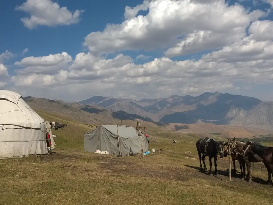 Yurt camp at jailoo Chong Suu, with horses, pasture of Kyzyl Oy village, 