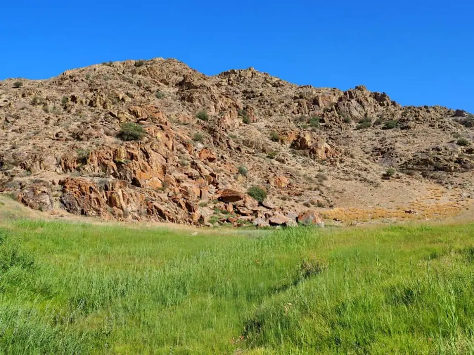 Chiyim-Tash petroglyph is located in Talas village