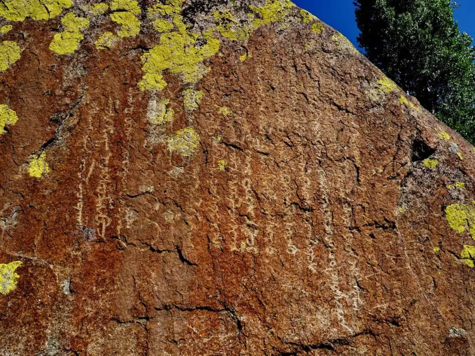 Chiyim-Tash petroglyph is located in Talas village