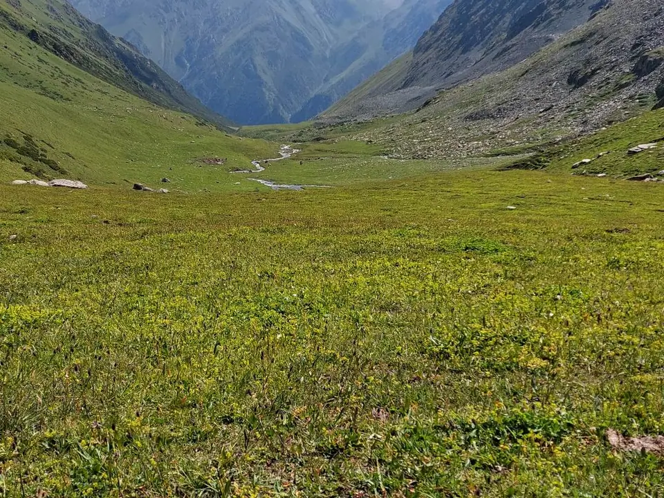 The green meadows of Asan Tukum gorge in the Jeti Oguz valley