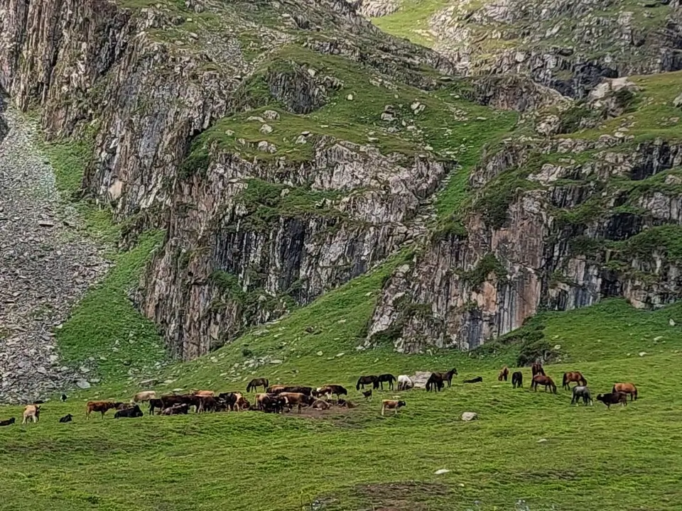 The green meadows of Asan Tukum gorge in the Jeti Oguz valley