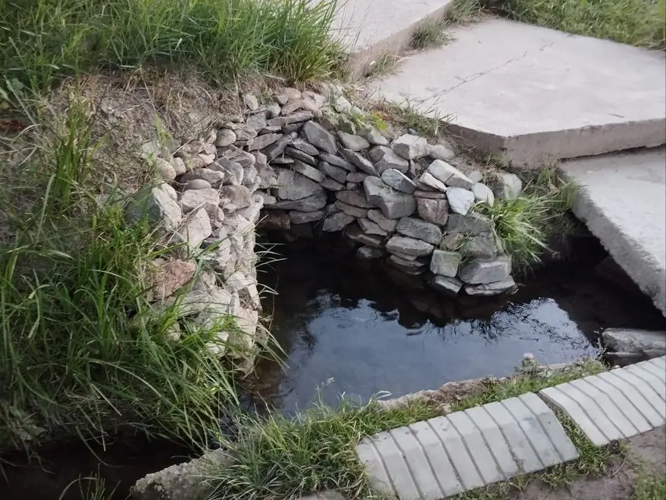 Kanykei Apa