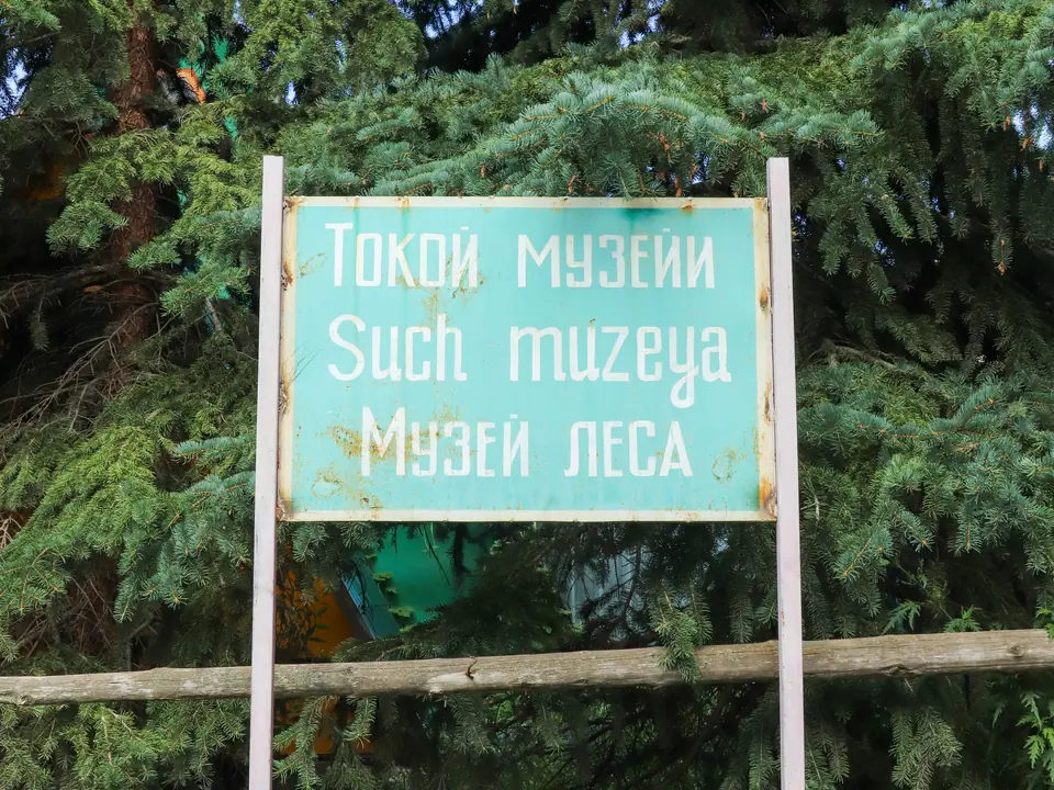 Museum of the Forest