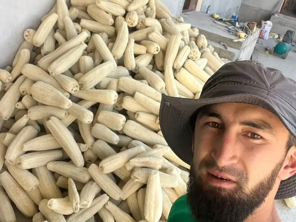 Eco ferma Fazenda