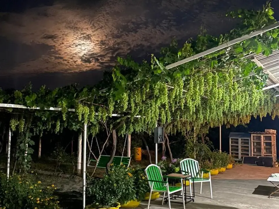 Eco ferma Fazenda