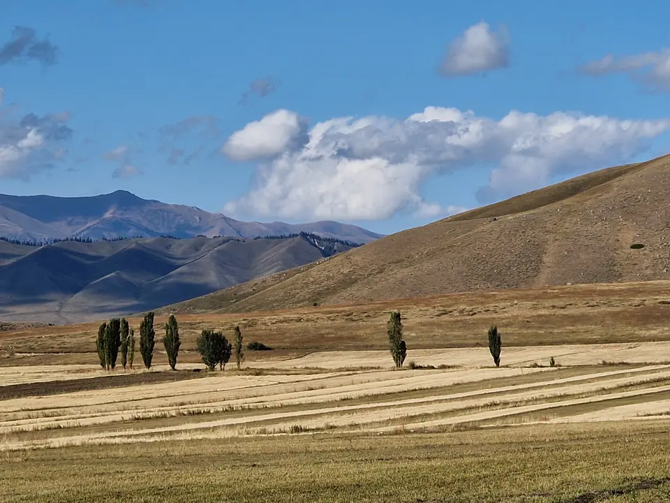 Fields near Ak-Bulung village at the bottom of Turgen Ak-Suu valley, in autumn, yellow grass and green trees