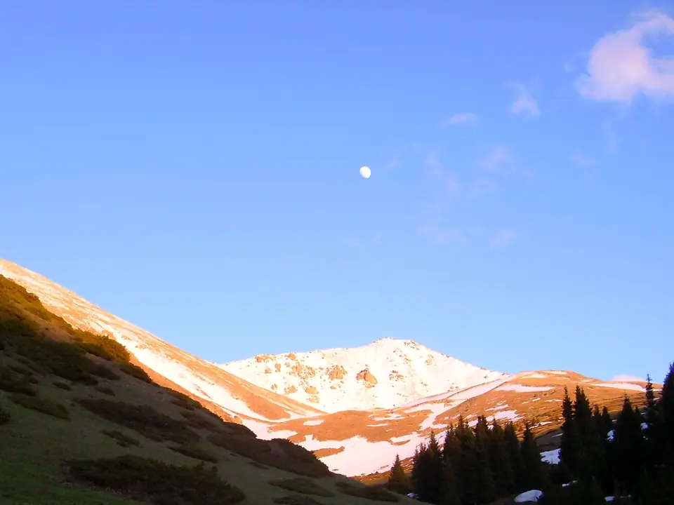 View of the snowy pass of Kalmak Ashuu on the top of fir-tree forest