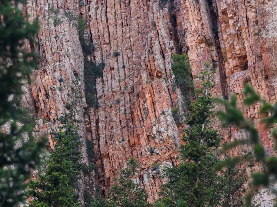 Red cliff of the Teshik canyon surrounded by fir trees