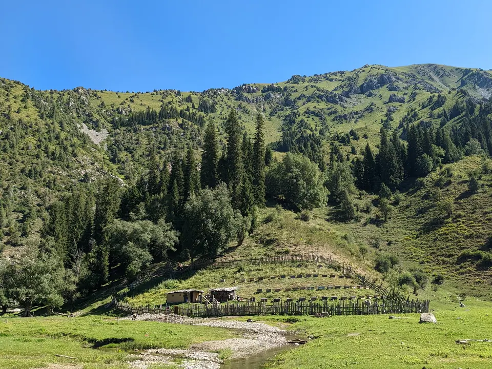 Springs at the foot of a beekeeper camp
