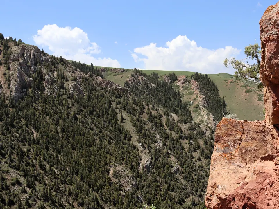Tarek canyon 