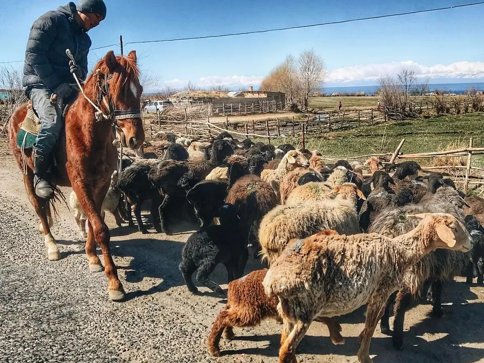 Barskoon village
