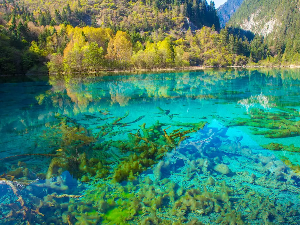 Five Flower Lake, Jiuzhaigou Valley