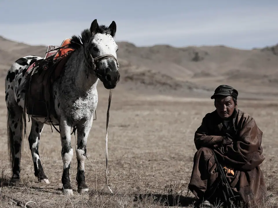 Herder animal husbandry, Bayankhongor aimag