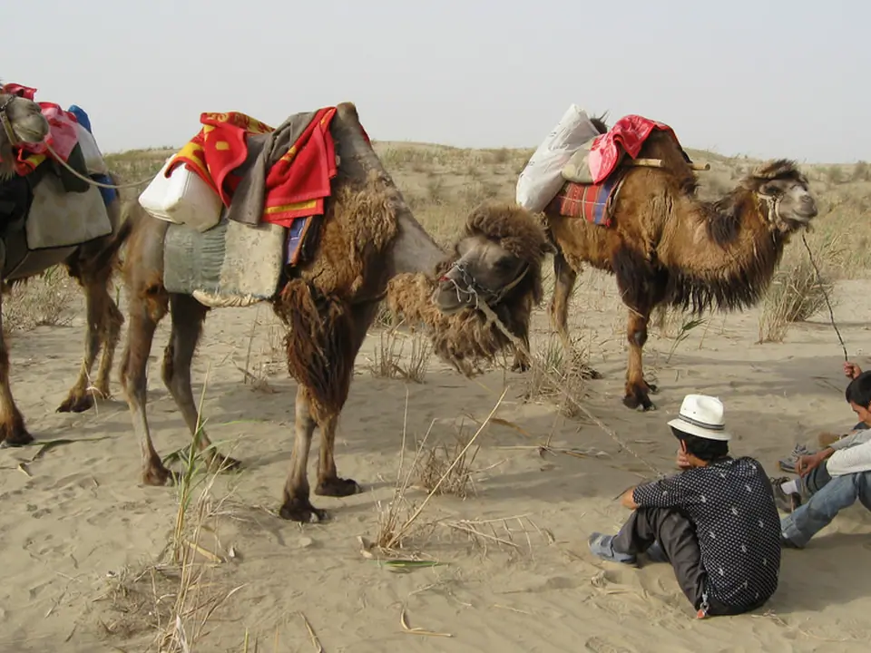 Taklamakan Desert